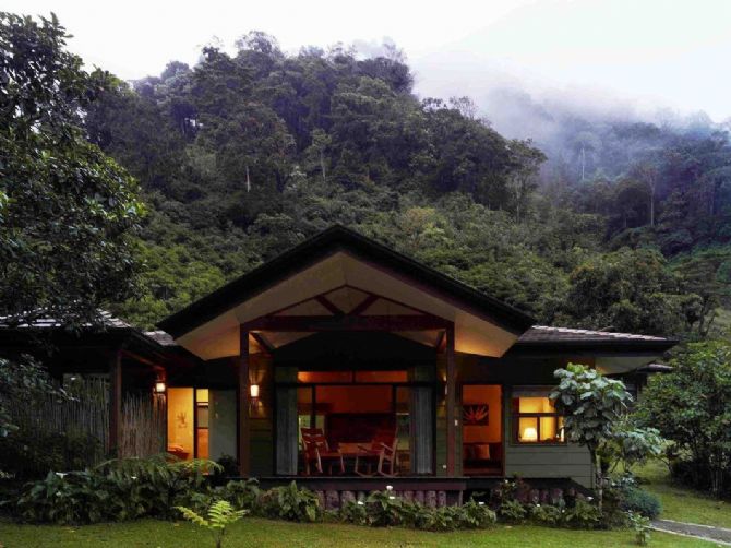 El Bosque Nuboso en El Silencio Lodge