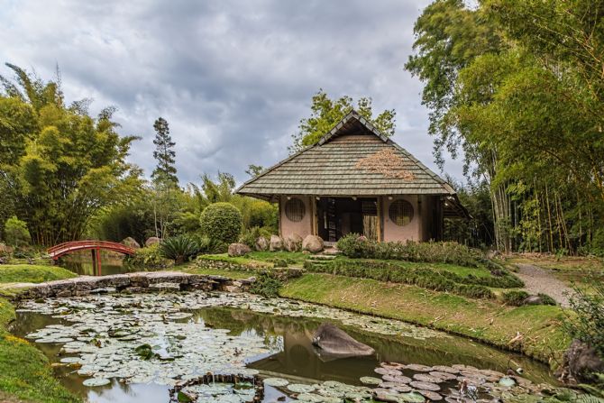 Jardín japonés
