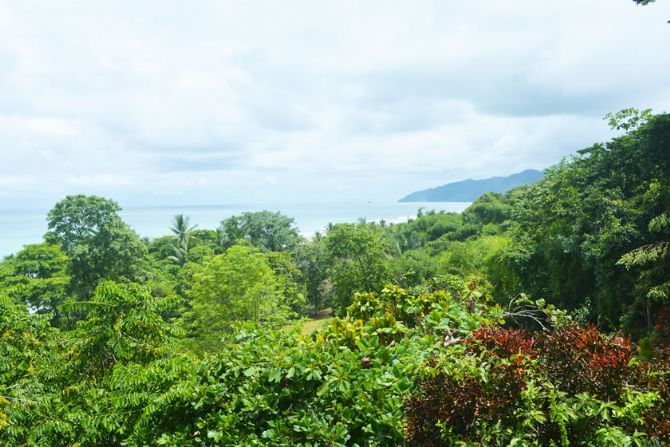 Vista desde The Lookout Inn Lodge