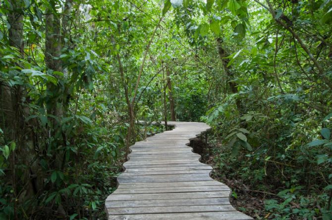 Senderos en la naturaleza en Danta Corcovado Lodge