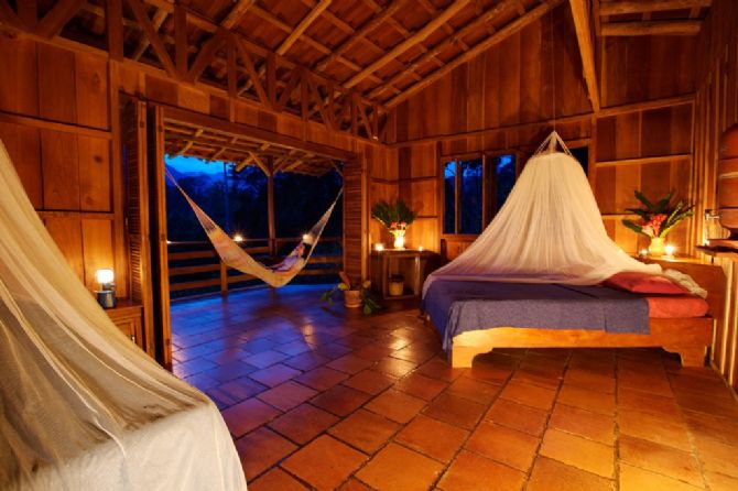 Habitacion en Selva Bananito Lodge