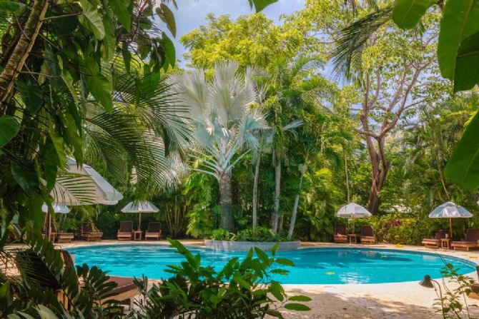 Piscina y jardines en el Hotel Harmony