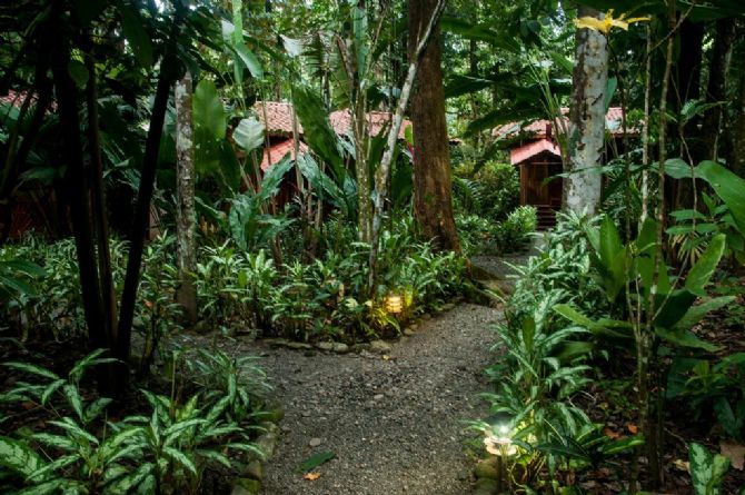 Caminos a Bungalows en Tierra de Sueños Lodge