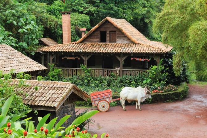 Casita de la paz con carro de buey tradicional