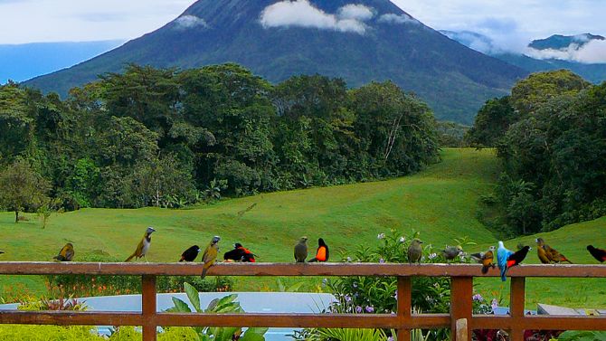 Observación de aves con la mejor vista en Arenal Lodge