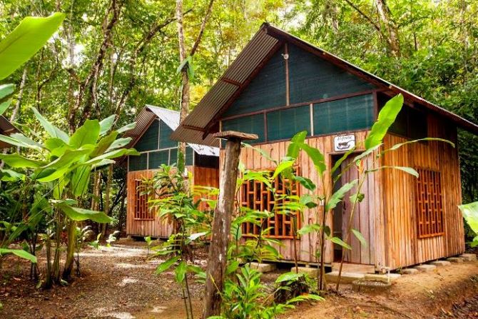 Disfrute de la aventura en Cacao Monkeys