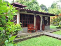 Enjoy nature at Casa Corcovado Jungle Lodge