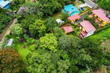 Surround by trees at La Terraza Guest House 