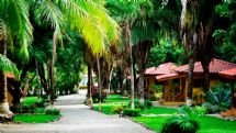 Grounds at Esencia Hotel & Villas