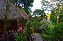 Amazing bungalows at Luna Lodge