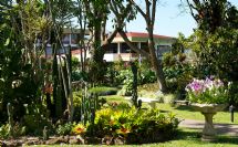 Room building and grounds, Hotel Bougainvillea