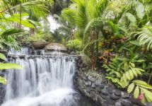 Hot Springs at Tabacón Thermal Resort & Spa