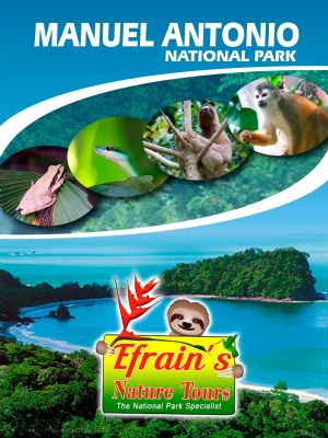 Efrain's Nature Tours 